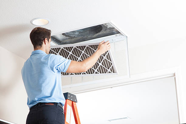 Best HVAC Tune-Up Services  in Louisa, VA
